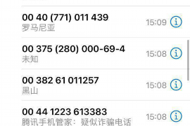 寒亭为什么选择专业追讨公司来处理您的债务纠纷？